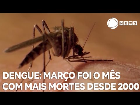 Março foi o mês que registrou mais mortes por dengue desde 2000