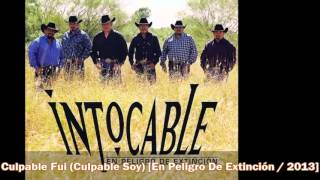 Intocable - Culpable Fui (Culpable Soy) [En Peligro De Extinción / 2013]