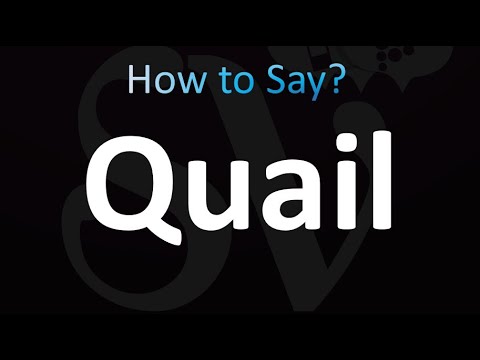 How to Pronounce Quail (Correctly!)