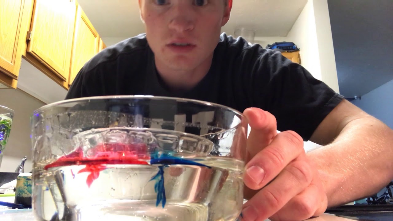 Lab 4 Video: Stokes flow