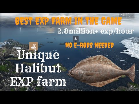 Up to 2.8 million EXP/hour | Unique Halibut Farming | Skårland Fjord | Fishing Planet