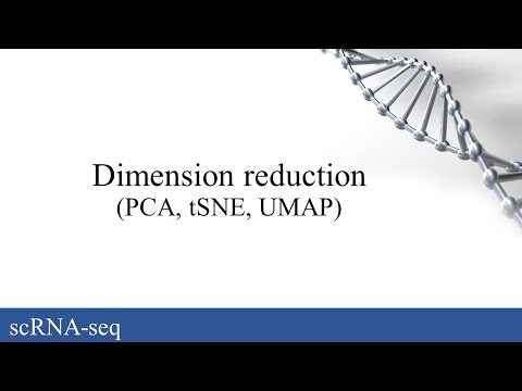 scRNA-seq: Dimension reduction (PCA, tSNE, UMAP)