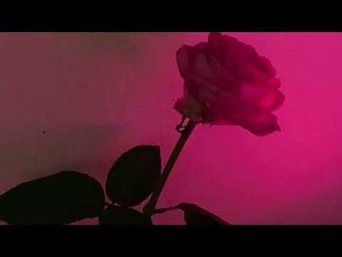 Acariciame (Del recuerdo)