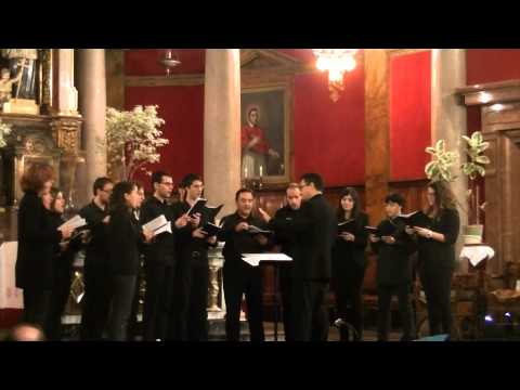 La Sardana de les Monges (Cor Cantus Firmus)