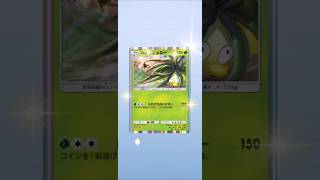 ポケポケ生活#ポケポケ #ポケポケ開封チャレンジ #shorts