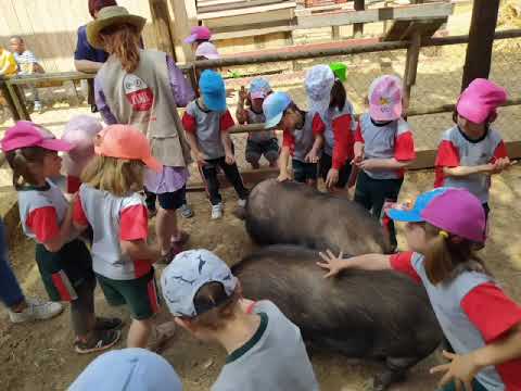 Excursió a la Granja Park Aventura - P4