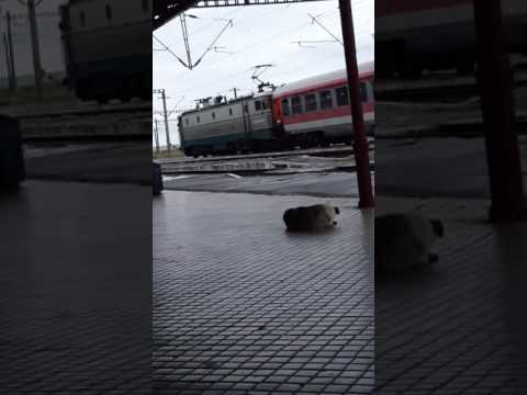 R3083 in gara Razboieni