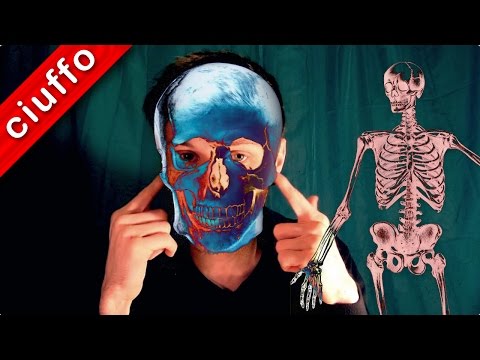 Dolore nella parte destra della schiena sopra la vita Dolore nel secondo mese di gravidanza