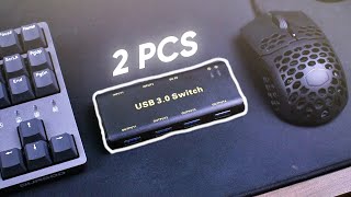 Use a keyboard and mouse with TWO computers!