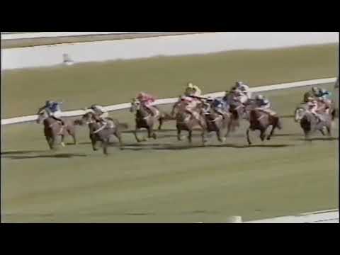 1989 ATC AUTUMN FEATURE Races