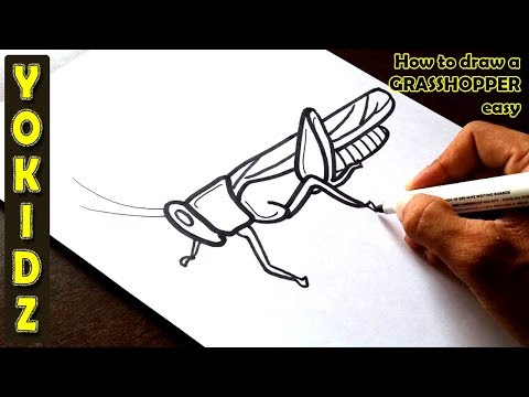 How to draw a GRASSHOPPER Easy