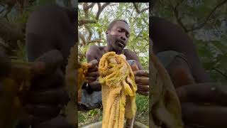 Download lagu A Day in the Life of the Hadzabe Tribe: Bush Foods and Traditions. #suku hadzebe mp3