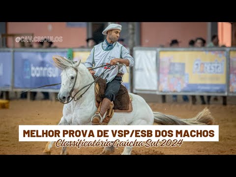 Matreiro Mediador • Melhor Prova de VSP/ESB dos Machos na Classificatória Gaúcha Sul 2024