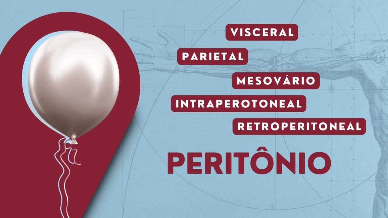 Peritônio | Anatomia Veterinária | Anatomia Animal | Membrana Serosa | Cavidade Peritoneal