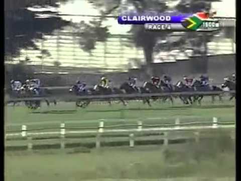 Shoddy Nick - 1st win - Racing Association