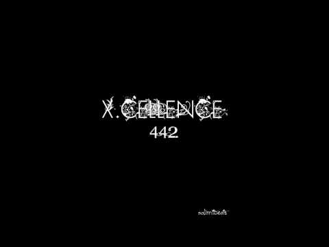 X-Cellence-442