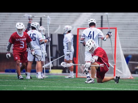 Sam King | Harvard Lacrosse | Career Highlights