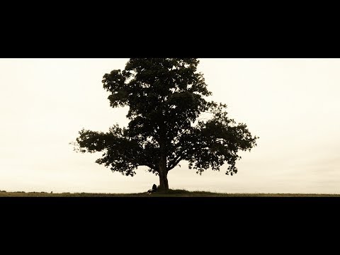 Мэйти — Раскраска (Official Video)