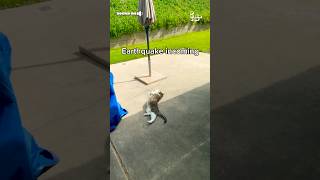 Miniature vidéo