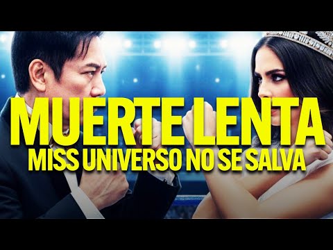 Linea de Fuego and 2 more