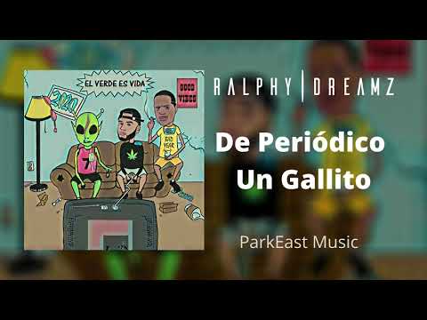 De Periódico un Gallito ( Audio )