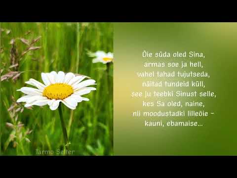 Tarmo Selter - Üks Õis - Misc Originals