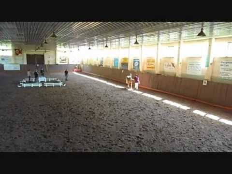 Stuteneintragung Nelly