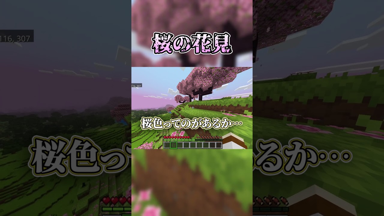 桜の花見…　　　　　　　　　　　　　　　　　　　　　　　　　　　　　　#shorts #youtubeshorts #マイクラ #マインクラフト #minecraft