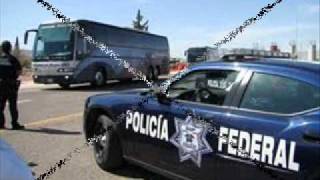 el lokito del morral.el tigrillo palma