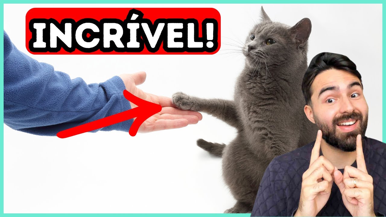 É POR ISSO Que Seu Gato Te Dá TAPINHAS!