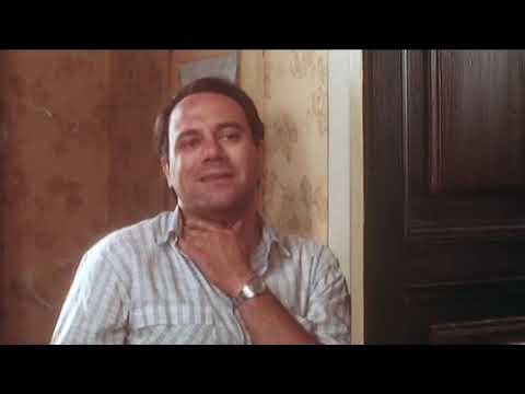 Carlo Verdone - Quante volte l'hai colpita?