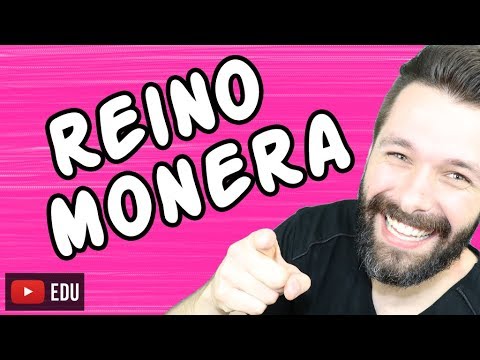 REINO MONERA - BACTÉRIAS  - Aula | Biologia com Samuel Cunha