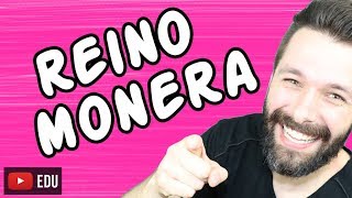 REINO MONERA - BACTÉRIAS  - Aula | Biologia com Samuel Cunha