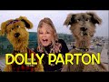 DOLLY PARTON LOVES THE UNDERDOGS SHOW
