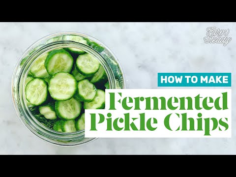 How to Make Pickle Chips | Easy Recipe for Naturally Lacto-Fermented Cucumber Sandwich Pickles