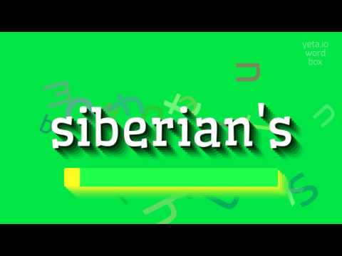 How to say "siberian's"! (High Quality Voices)