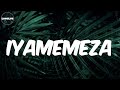 DJ Sumbody - (Lyrics) Iyamemeza (feat. Drip Gogo & The Lowkeys)