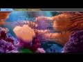 Opening To Finding Nemo 2003 DVD Disc 1