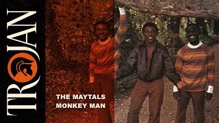 The Maytals  &#39;Monkey Man&#39; (official audio)