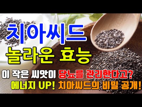 치아씨드의 놀라운 효능 7가지 & 부작용 / 체중 감량과 혈당 조절에 좋은 치아씨드, 그 비밀은?