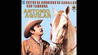 Antonio Aguilar - El Potro Lobo Gateado