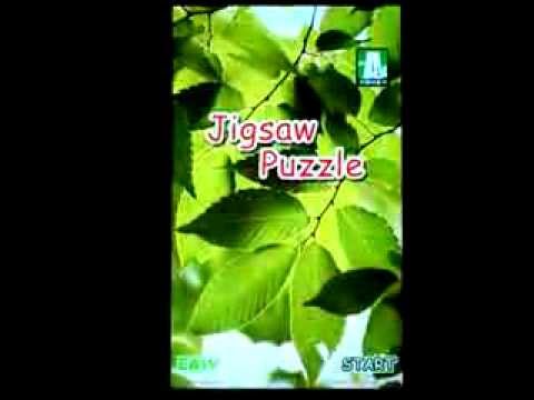 Jigsaw Puzzle Video