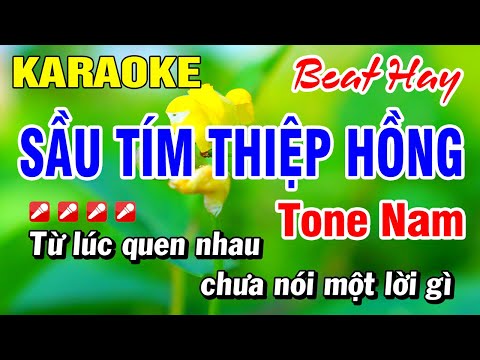 Karaoke Sầu Tím Thiệp Hồng (Beat Hay) Nhạc Sống Tone Nam | Hoài Phong Organ