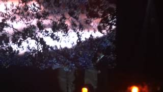 IL DIVO St Petersburg 2014 - If Ever I Would Leave You