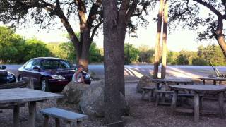 El Verde Boys Sing Terry Allen&#39;s &quot;Flatland Boogie&quot;