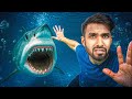 THERE S A SHARK IN MY SWIMMING POOL