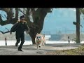 OH MY DOG Trailer (2022) Arun Vijay, Arnav Vijay New Tamil Movie