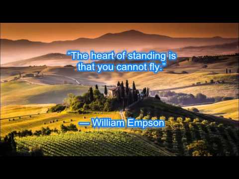 download lagu mp3 mp4 Funny Flying Quotes, download lagu Funny Flying Quotes gratis, unduh video klip Funny Flying Quotes