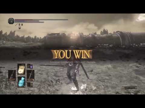 DS3 - Chungis Tests the Arena on LSD (NSFW)