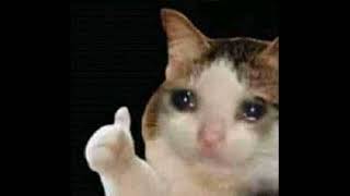 Cover art for Miaw Miaw (JERSEY CLUB)